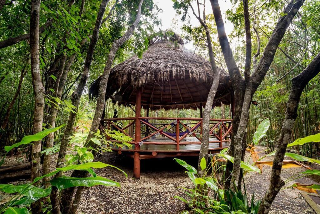 Hermosa Villa Con Espacios De Naturaleza Y Yoga Puerto Morelos Exterior photo