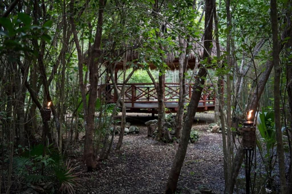 Hermosa Villa Con Espacios De Naturaleza Y Yoga Puerto Morelos Exterior photo